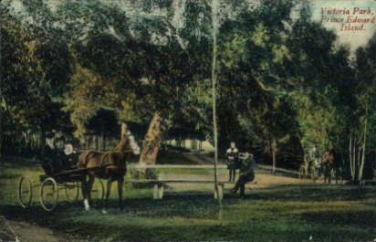 Victoria Park was a popular spot for carriage rides until the age of the automobile. Taylor's Book Store postcard.