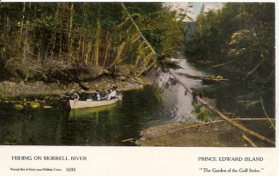 1693 Fishing_Morrell_River_a